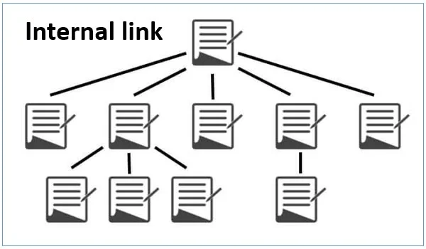 Internal Link là gì Cách áp dụng Topic Cluster trong SEO Tổng Thể