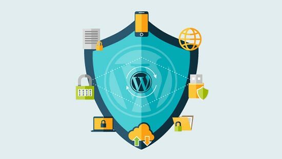 Hình ảnh thuộc sở hữu của trang web qnet88.com