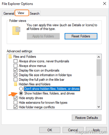 enable hidden files view