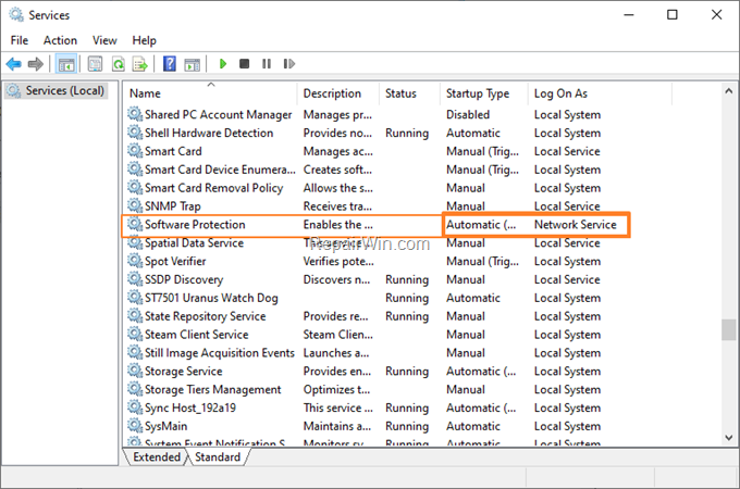 Software Protection Service
