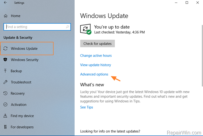 pause updates windows 10