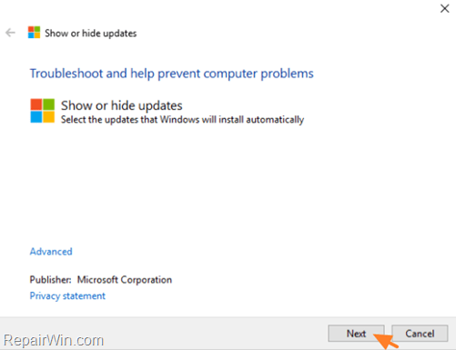 how to prevent a specific update on windows 10