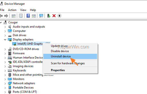 Uninstall Display Adapter