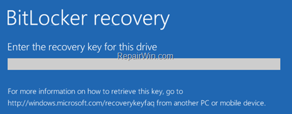 Remove Bitlocker from Windows Recovery Environment