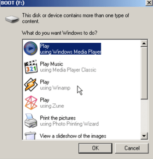 autoplay