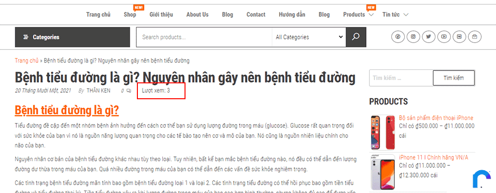 Thêm lượt xem bài viết vào WordPress Post Views Counter