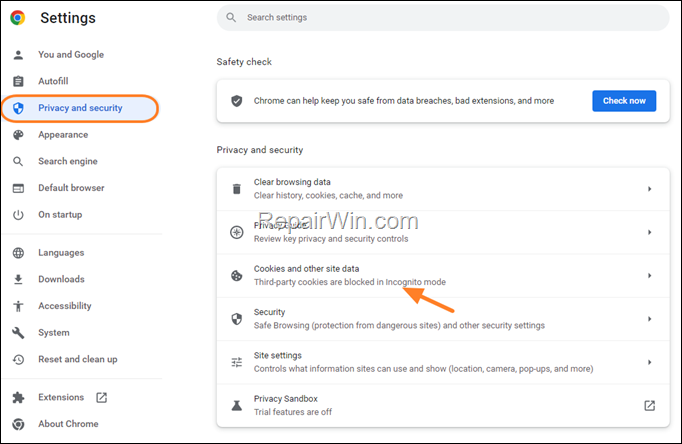 remove cookies and other site data