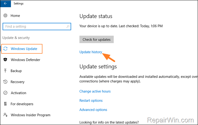 Update history