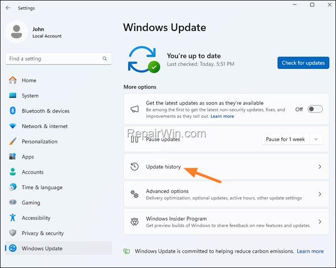 Windows 11 Update History
