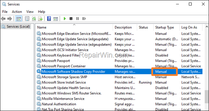 Microsoft Software Shadow Copy Provider